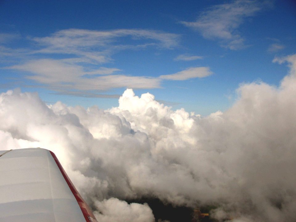 lfbx_080709_08.jpg
