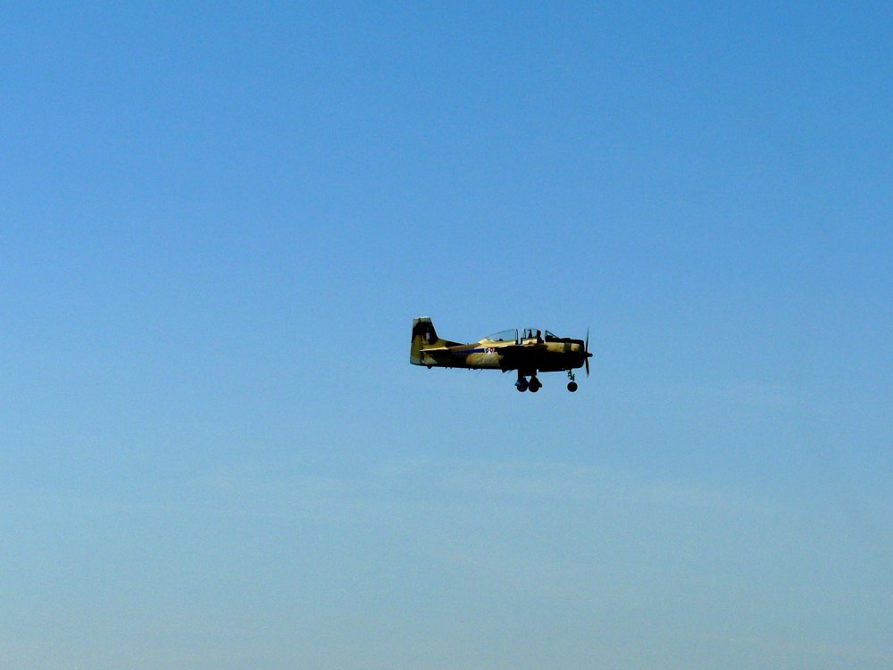 P1000409.jpg