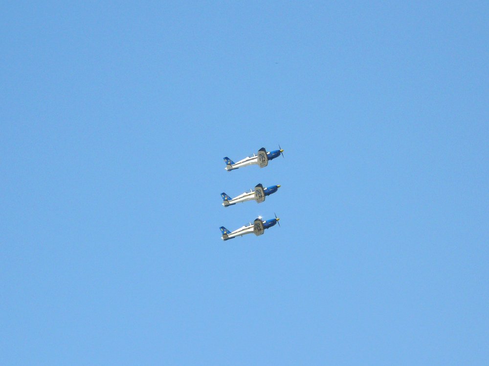 P1000435.jpg