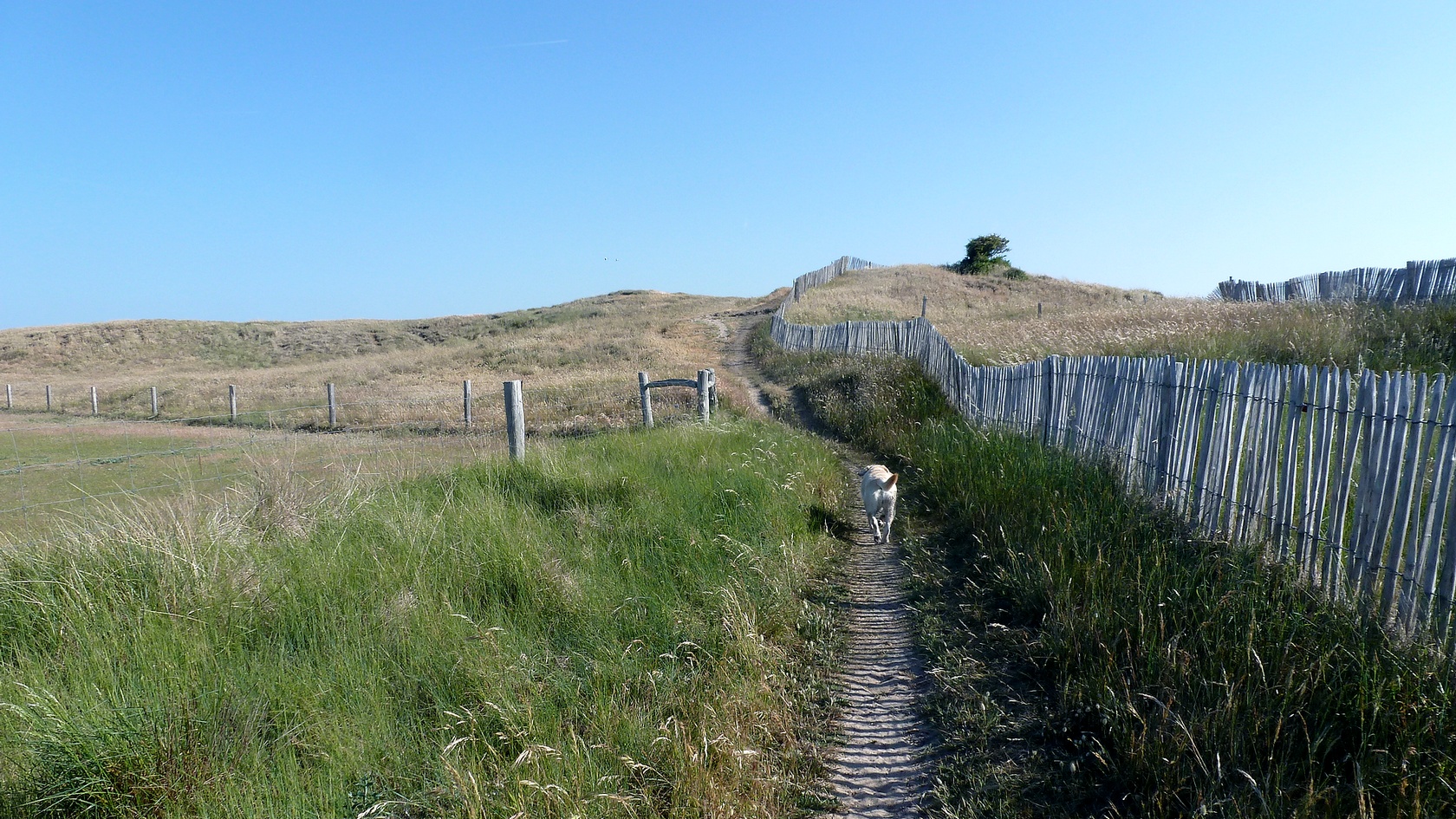 pointe_agon-16.jpg