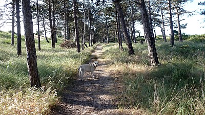 pointe_agon-11.jpg