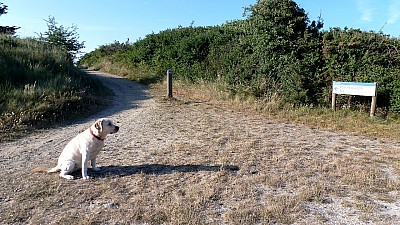 pointe_agon-2.jpg