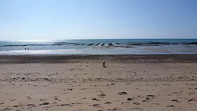 pointe_agon-20.jpg