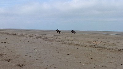 pointe_agon-23.jpg