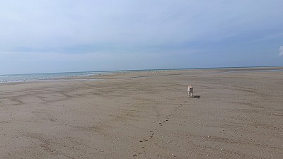 pointe_agon-24.jpg