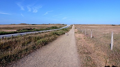 pointe_agon-3.jpg