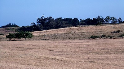 pointe_agon-4.jpg