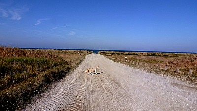 pointe_agon-5.jpg