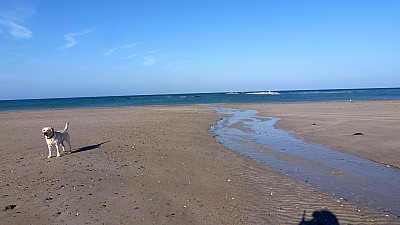 pointe_agon-7.jpg