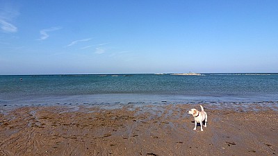 pointe_agon-8.jpg