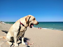 16-argeles.jpg