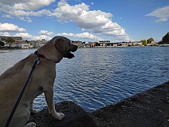 5-grand_bassin_casrtelnaudary.jpg