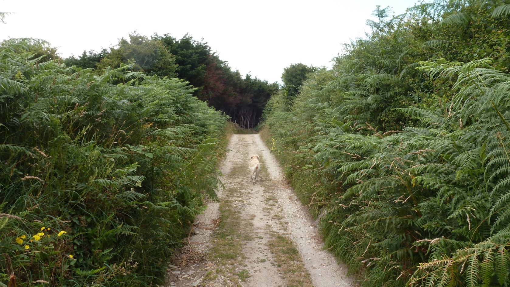 cotentin_11.jpg