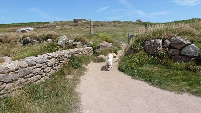 cotentin_05.jpg