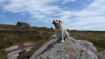 cotentin_06.jpg
