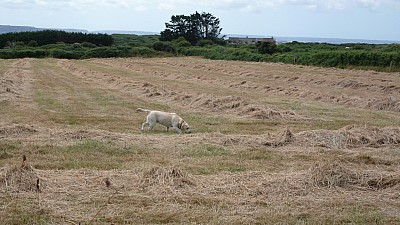 cotentin_09.jpg