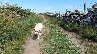 cotentin_15.jpg