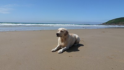 cotentin_17.jpg