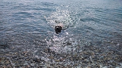 cotentin_18.jpg