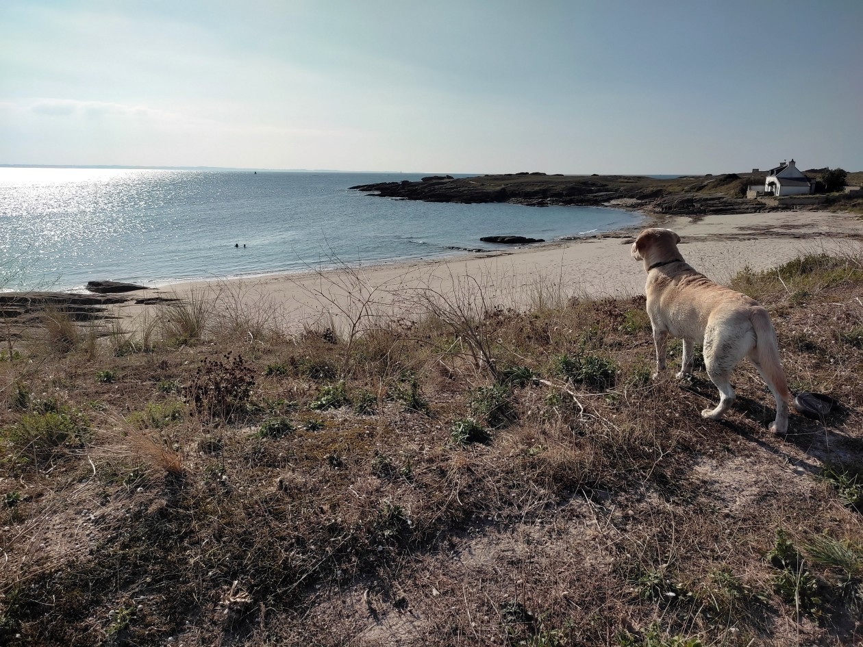 quiberon_01.jpg