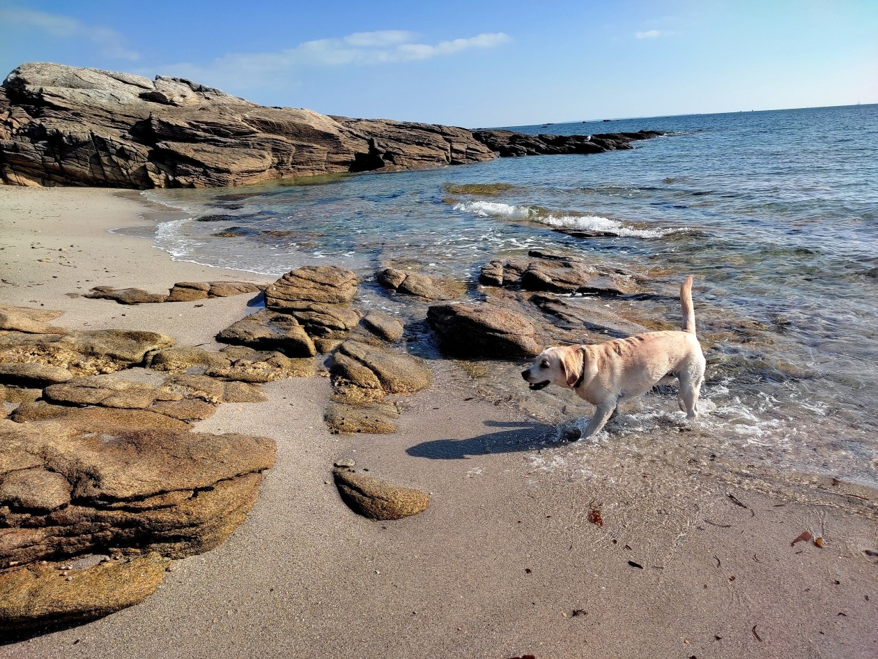 quiberon_03.jpg