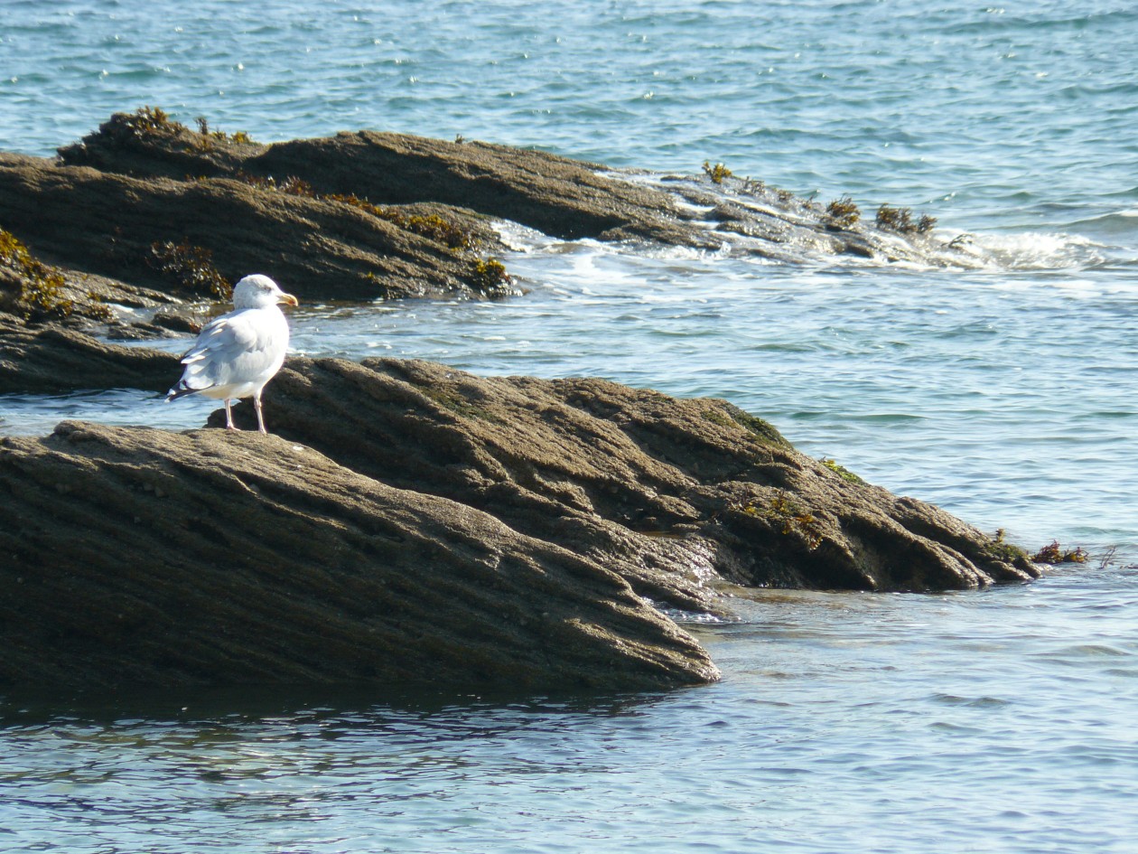 quiberon_05.jpg