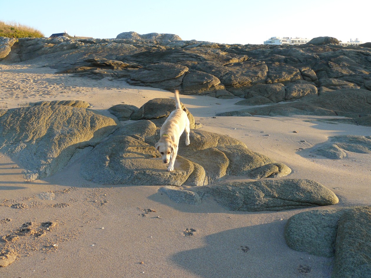 quiberon_08.jpg