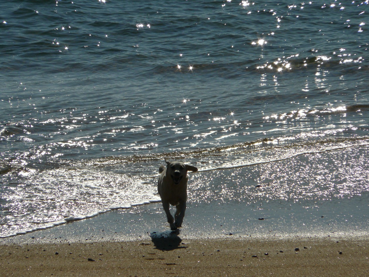 quiberon_15.jpg