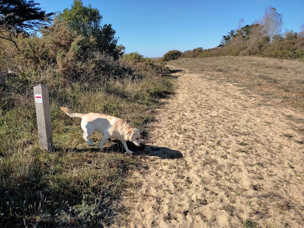 quiberon_16.jpg