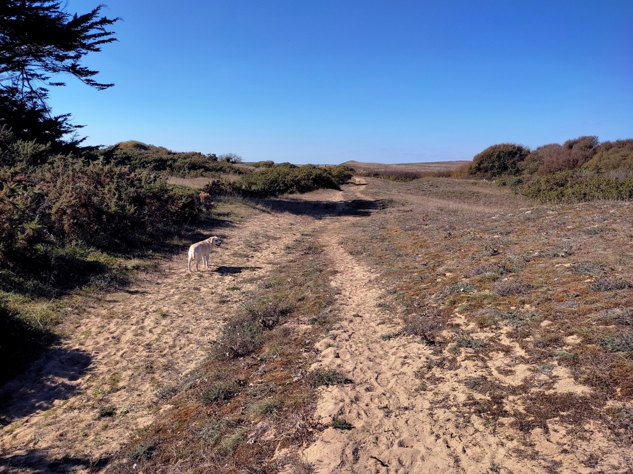 quiberon_17.jpg