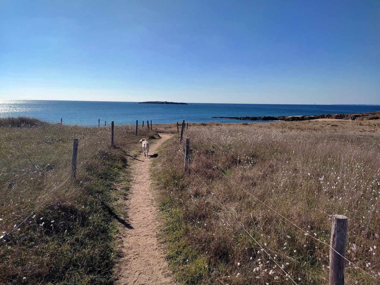 quiberon_19.jpg