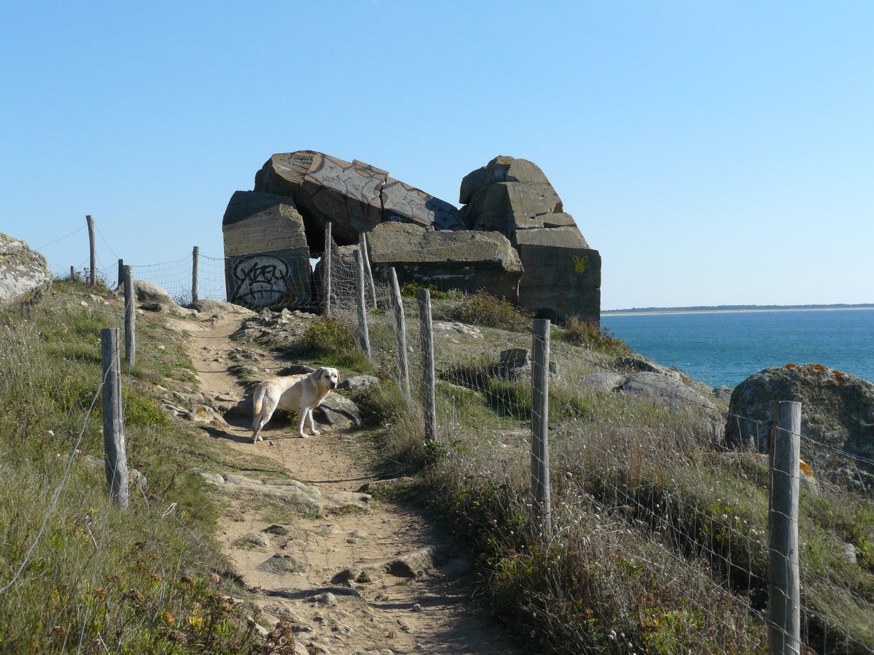 quiberon_21.jpg