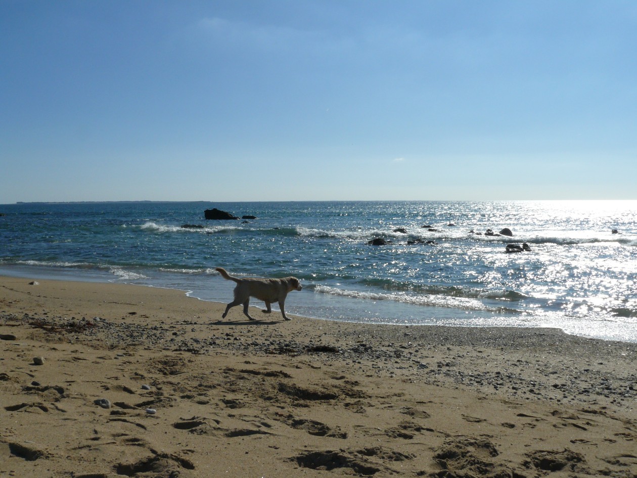 quiberon_22.jpg