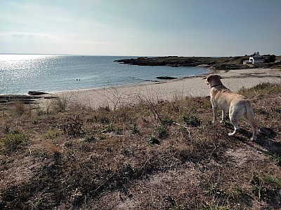 quiberon_01.jpg