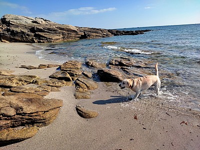 quiberon_03.jpg