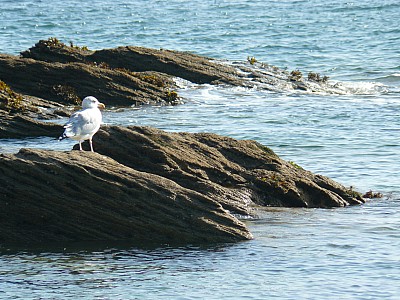 quiberon_05.jpg