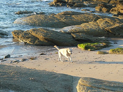 quiberon_06.jpg