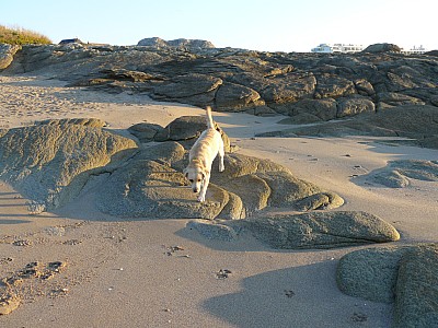 quiberon_08.jpg