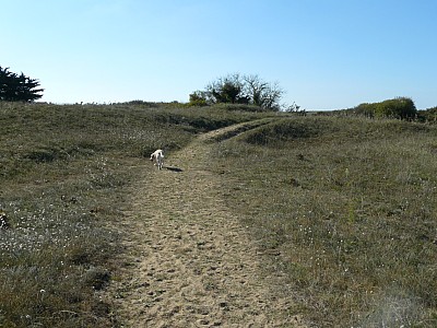 quiberon_11.jpg