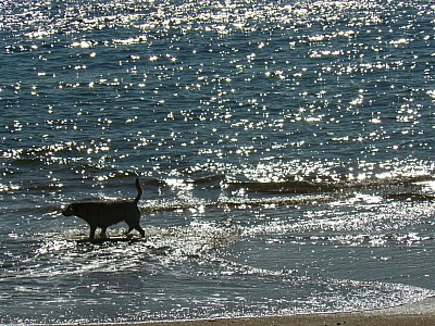 quiberon_14.jpg