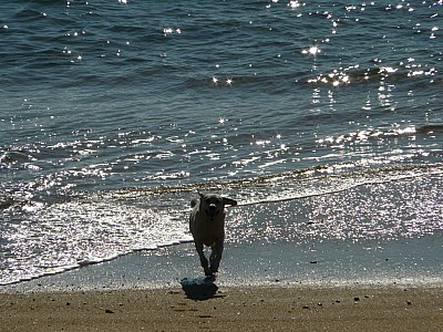 quiberon_15.jpg