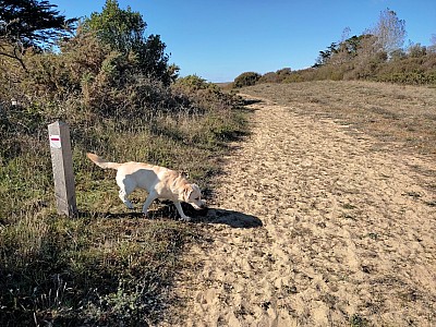 quiberon_16.jpg