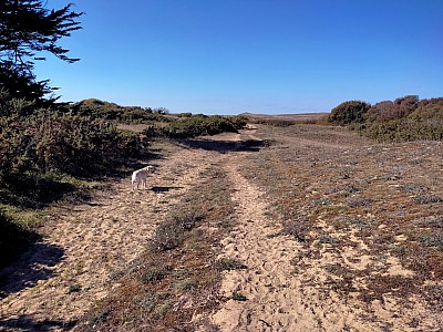 quiberon_17.jpg