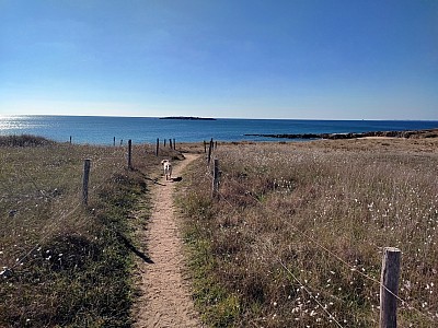 quiberon_19.jpg