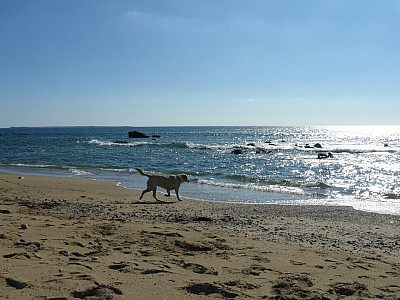 quiberon_22.jpg