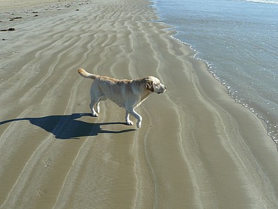 quiberon_24.jpg