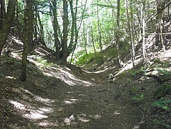 IMG_20220528_16.jpg