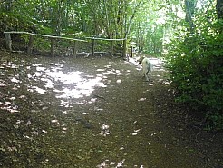IMG_20220528_1635.jpg