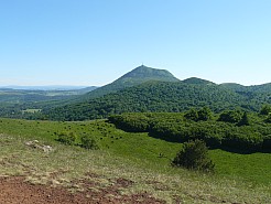 IMG_20220528_17.jpg