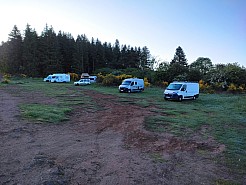 IMG_20220529_065124.jpg